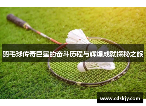 羽毛球传奇巨星的奋斗历程与辉煌成就探秘之旅